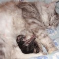 Dian und Mama Leeloo geht es bestens, Tag 5