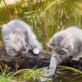 Wasser macht Spaß!