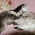 Nidi und Leeloo