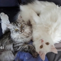 Noranti und Yalena (2016)