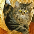Louis