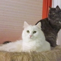 Winona und Ishani