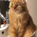 Eric (Louis, 2019)