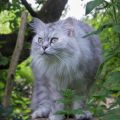 5,5 Jahre alt (Juni 25)
