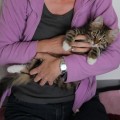 Rubeus mit 15 Wochen