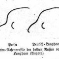 Zeichnung von Schwangart