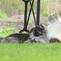 Inola & Cheri