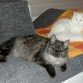 Ishani & Winona mit 10 Monaten