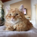 Kenji, September 14