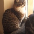 Yumi, September 14