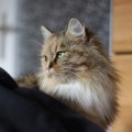 2,5 Jahre alt