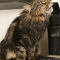 Mmmmmh Kaffee