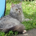 Juli 2015