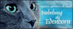 Nebelung "of Edenborn"