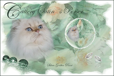 Satin Perser